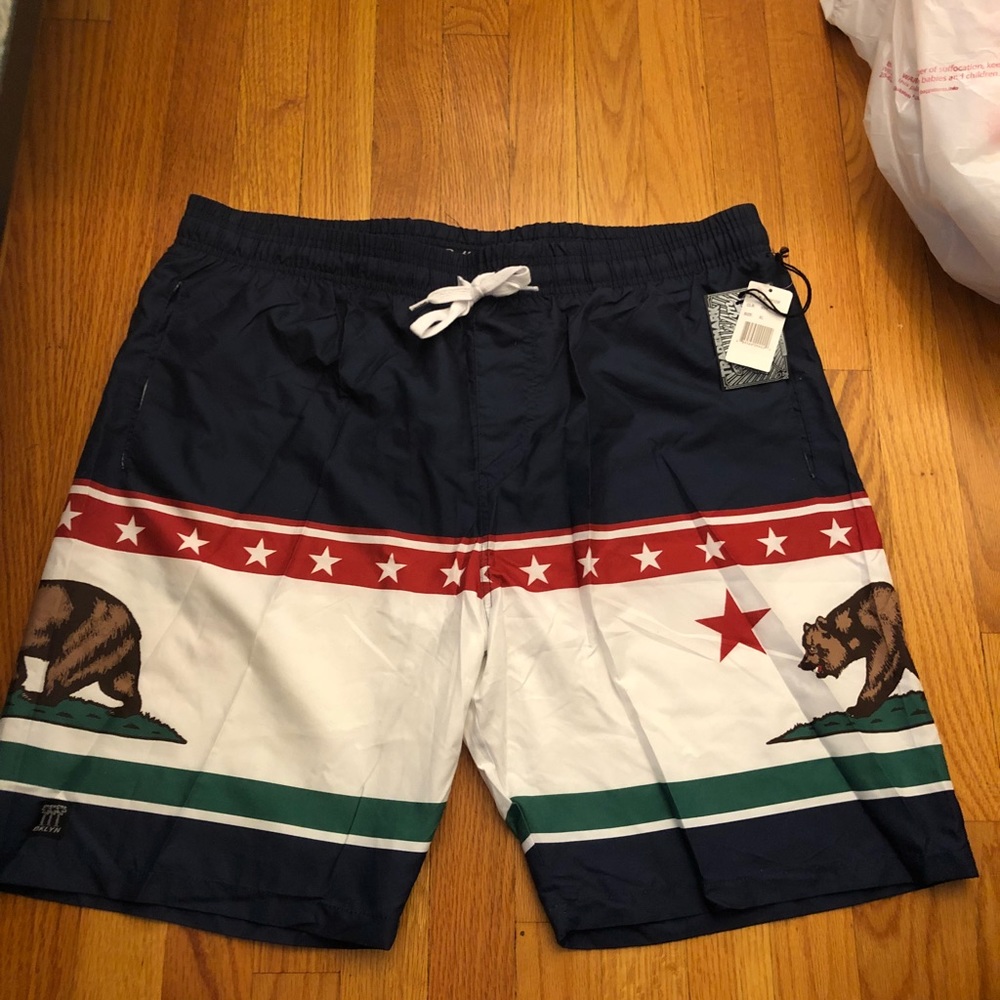 Mens Swim Trunks - Picture 1 of 4